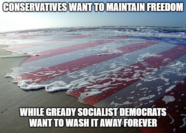 Freedom Is Just Another Word | CONSERVATIVES WANT TO MAINTAIN FREEDOM; WHILE GREADY SOCIALIST DEMOCRATS
WANT TO WASH IT AWAY FOREVER | image tagged in memes,freedom,usa,fun,funny,politics | made w/ Imgflip meme maker