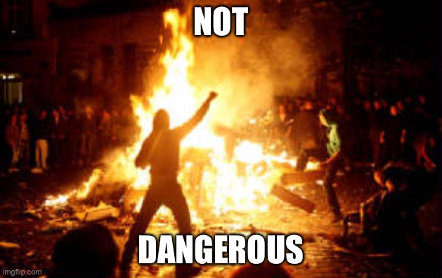 Anarchy Riot | NOT DANGEROUS | image tagged in anarchy riot | made w/ Imgflip meme maker