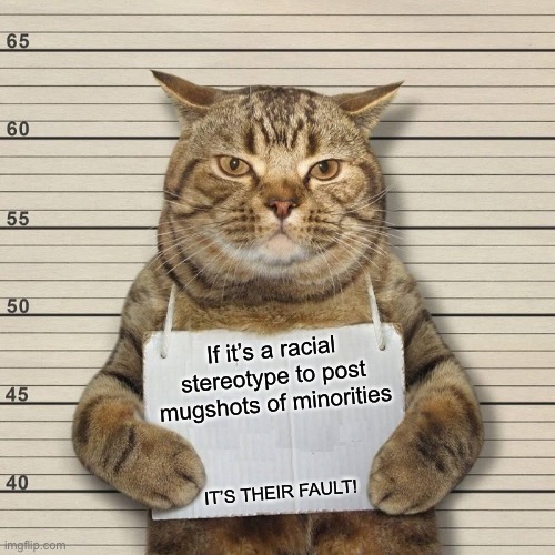 Change my mind | If it’s a racial stereotype to post mugshots of minorities; IT’S THEIR FAULT! | image tagged in guilty cat mug shot blank,mugshot,politics,minorities | made w/ Imgflip meme maker