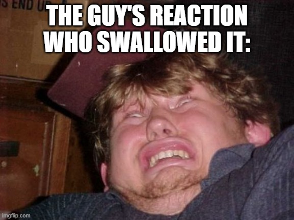 WTF Meme | THE GUY'S REACTION WHO SWALLOWED IT: | image tagged in memes,wtf | made w/ Imgflip meme maker