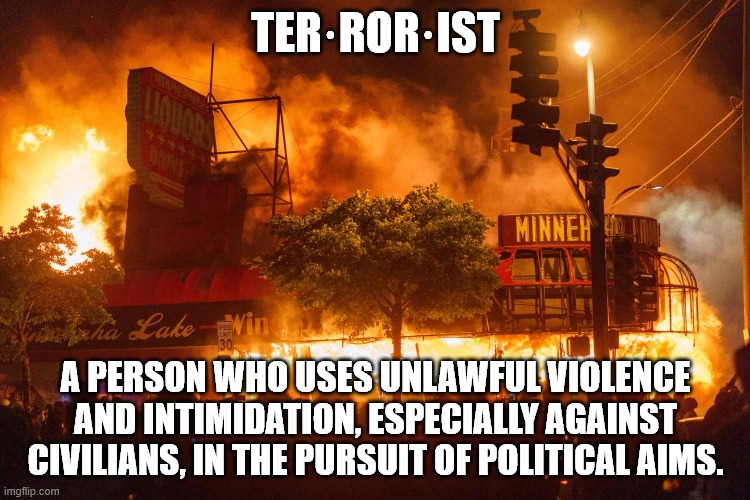 Terrorist definition | TER·ROR·IST; A PERSON WHO USES UNLAWFUL VIOLENCE AND INTIMIDATION, ESPECIALLY AGAINST CIVILIANS, IN THE PURSUIT OF POLITICAL AIMS. | image tagged in blm,domestic terrorism,trump haters,joe biden | made w/ Imgflip meme maker