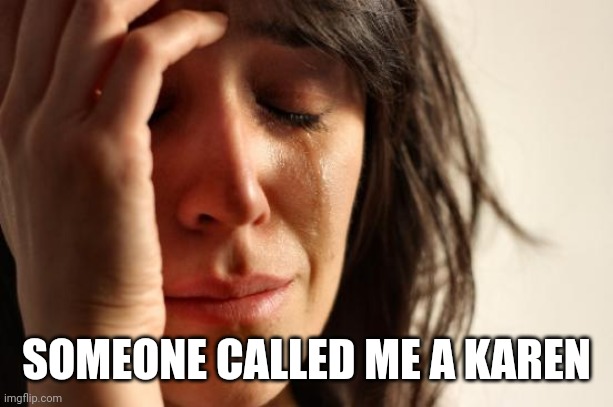 First World Problems | SOMEONE CALLED ME A KAREN | image tagged in memes,first world problems | made w/ Imgflip meme maker