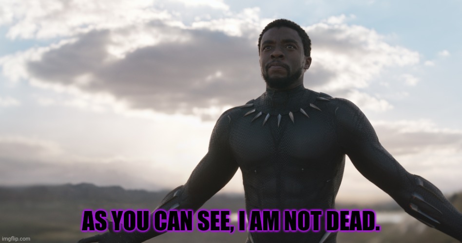 Black Panther "As you can see, I am not dead. | AS YOU CAN SEE, I AM NOT DEAD. | image tagged in black panther spotlight | made w/ Imgflip meme maker