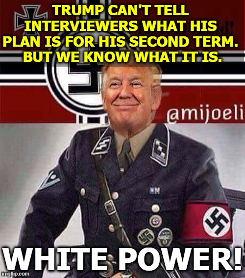 Trump likes dead Confederate generals better than he likes live Americans. | TRUMP CAN'T TELL 
INTERVIEWERS WHAT HIS 
PLAN IS FOR HIS SECOND TERM. 
BUT WE KNOW WHAT IT IS. WHITE POWER! | image tagged in trump,confederate statues,traitors,live,americans | made w/ Imgflip meme maker