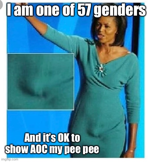 I am one of 57 genders And it’s OK to show AOC my pee pee | made w/ Imgflip meme maker