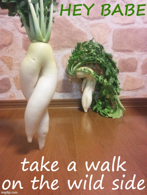 Lou Reed's lost verse from this song was about sexual misfit radishes |  HEY BABE; take a walk on the wild side | image tagged in seductive radish 2 | made w/ Imgflip meme maker