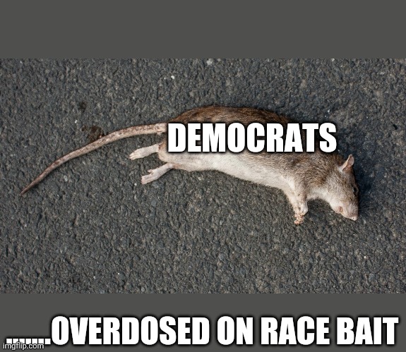 dead rat | DEMOCRATS; .......OVERDOSED ON RACE BAIT | image tagged in dead rat | made w/ Imgflip meme maker