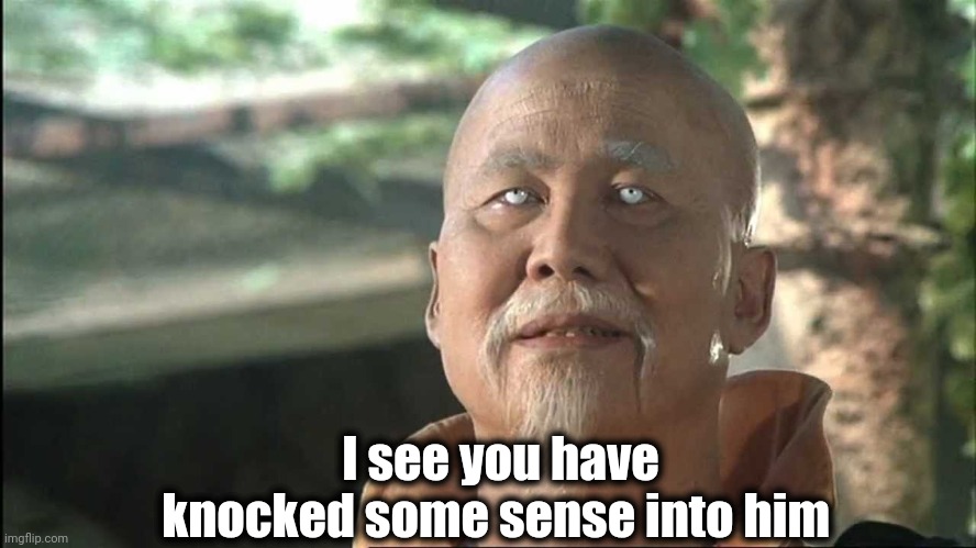 Kung Fu Po | I see you have knocked some sense into him | image tagged in kung fu po | made w/ Imgflip meme maker