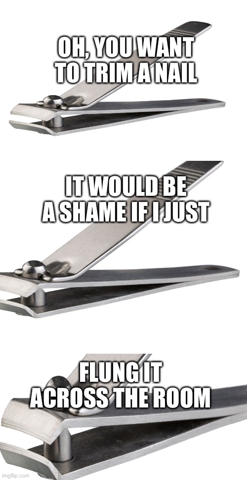 OH, YOU WANT TO TRIM A NAIL; IT WOULD BE A SHAME IF I JUST; FLUNG IT ACROSS THE ROOM | image tagged in blank white template | made w/ Imgflip meme maker