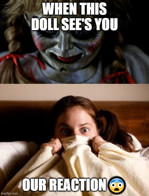 Scary | WHEN THIS DOLL SEE'S YOU; OUR REACTION😨 | image tagged in memes | made w/ Imgflip meme maker