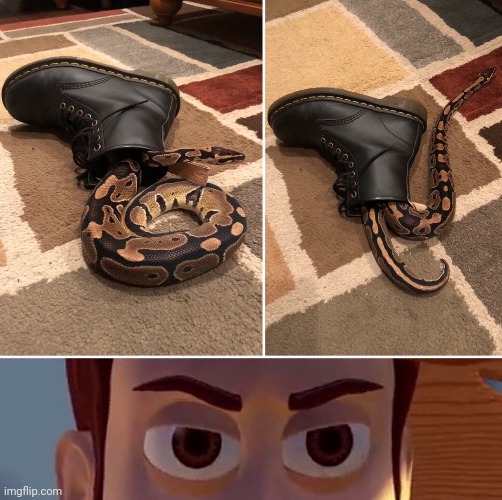 tHeReS a SnAkE iN mY bOoT | image tagged in toy story,memes | made w/ Imgflip meme maker