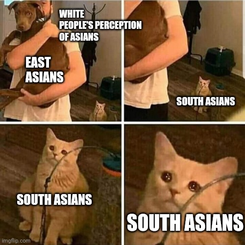 Sad Cat Holding Dog | WHITE PEOPLE'S PERCEPTION OF ASIANS; EAST ASIANS; SOUTH ASIANS; SOUTH ASIANS; SOUTH ASIANS | image tagged in sad cat holding dog | made w/ Imgflip meme maker