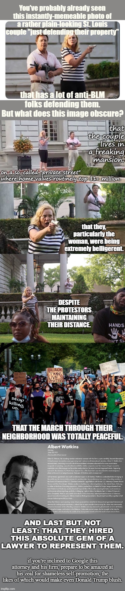 Looking for proof white privilege exists? Look no further than mansion-dwellers brandishing weapons on those marching for rights | image tagged in black lives matter,blacklivesmatter,white privilege,karen,protestors,march | made w/ Imgflip meme maker