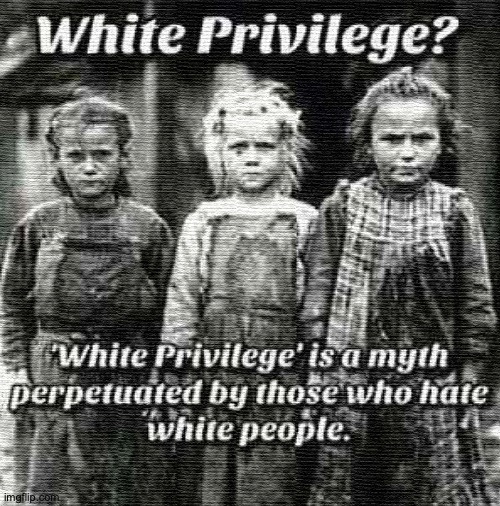 White Privilege | image tagged in white privilege,politifake | made w/ Imgflip meme maker