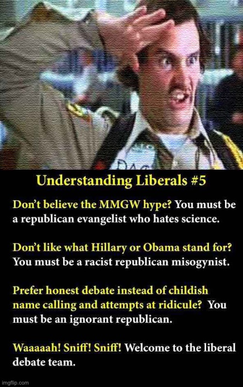 Understanding Liberals #5 | image tagged in liberal debate tactics,leftist | made w/ Imgflip meme maker