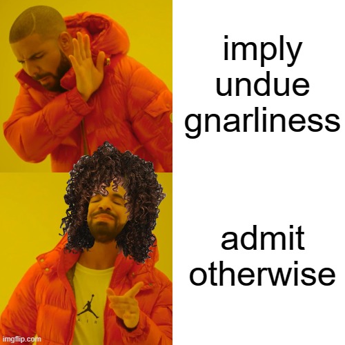 Drake Hotline Bling Meme | admit otherwise imply undue gnarliness | image tagged in memes,drake hotline bling | made w/ Imgflip meme maker