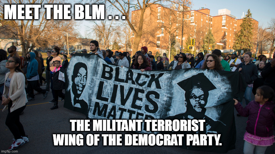 Soros birthed the SJWs who birthed the BLM...Grandpappy Soros must be sooo proud! | MEET THE BLM . . . THE MILITANT TERRORIST WING OF THE DEMOCRAT PARTY. | image tagged in blm,sjws,soros | made w/ Imgflip meme maker