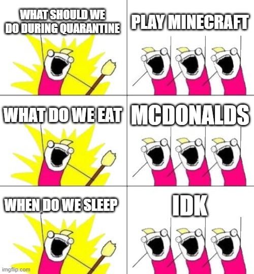 quarantine | WHAT SHOULD WE DO DURING QUARANTINE; PLAY MINECRAFT; WHAT DO WE EAT; MCDONALDS; WHEN DO WE SLEEP; IDK | image tagged in memes,what do we want 3 | made w/ Imgflip meme maker