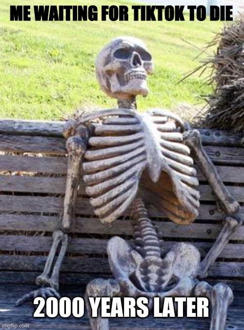 IDC | ME WAITING FOR TIKTOK TO DIE; 2000 YEARS LATER | image tagged in memes,waiting skeleton | made w/ Imgflip meme maker