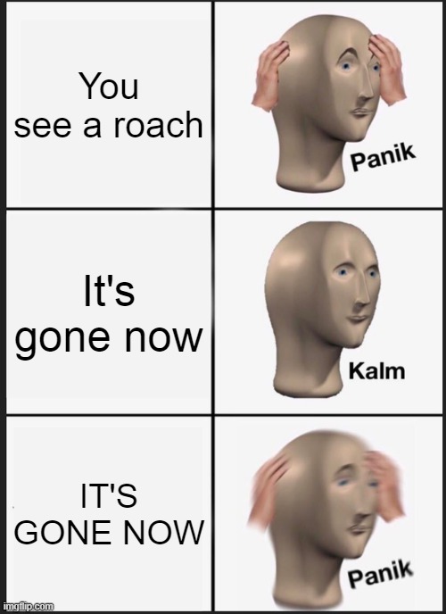 Panik Kalm Panik Meme | You see a roach; It's gone now; IT'S GONE NOW | image tagged in memes,panik kalm panik | made w/ Imgflip meme maker