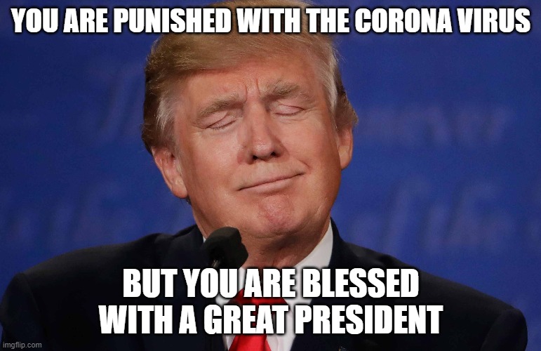 YOU ARE PUNISHED WITH THE CORONA VIRUS; BUT YOU ARE BLESSED WITH A GREAT PRESIDENT | image tagged in donald trump,usa,covid-19 | made w/ Imgflip meme maker