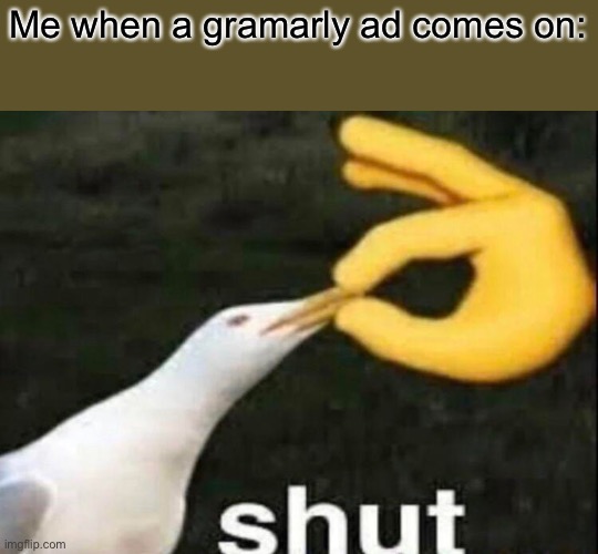 No one cares | Me when a gramarly ad comes on: | image tagged in shut,funny,memes,imgflip humor,imgflip community,no one cares | made w/ Imgflip meme maker