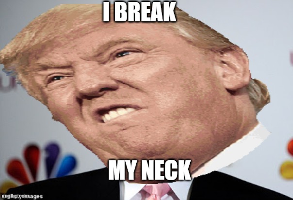 I BREAK; MY NECK | image tagged in funny,donald trump | made w/ Imgflip meme maker