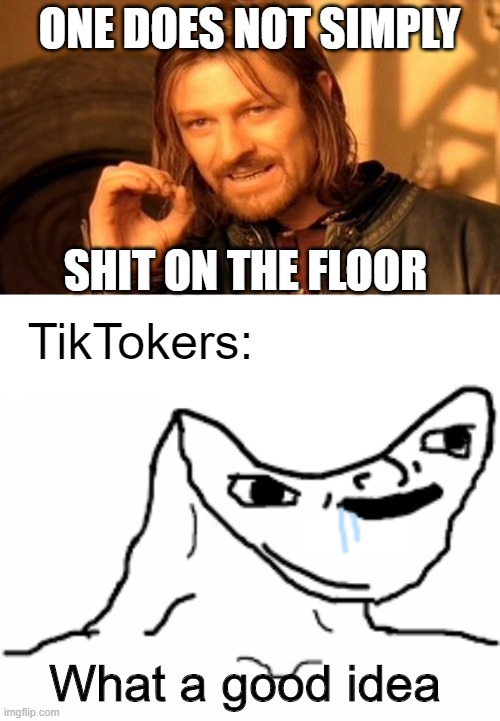 ONE DOES NOT SIMPLY; SHIT ON THE FLOOR; TikTokers:; What a good idea | image tagged in memes,one does not simply,tiktok | made w/ Imgflip meme maker