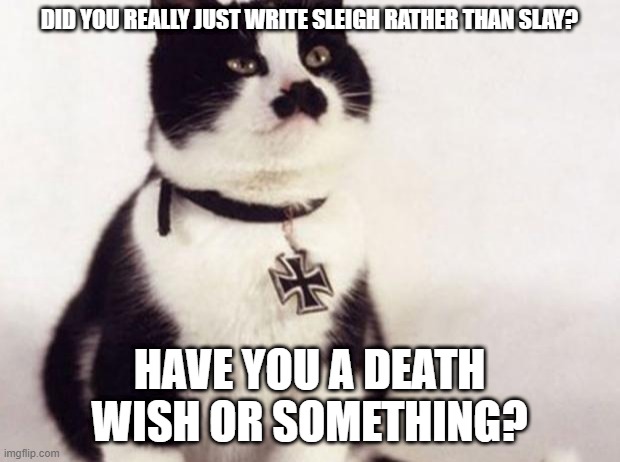 Nazi cat | DID YOU REALLY JUST WRITE SLEIGH RATHER THAN SLAY? HAVE YOU A DEATH WISH OR SOMETHING? | image tagged in nazi cat,grammar nazi cat,grammar nazi,nazis,neo-nazis,nazism | made w/ Imgflip meme maker