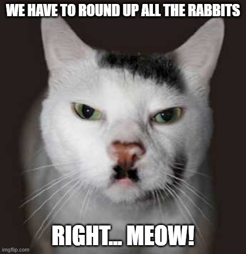 Nazi Cat | WE HAVE TO ROUND UP ALL THE RABBITS; RIGHT... MEOW! | image tagged in nazi cat,rabbits,nazis,neo-nazis,nazi | made w/ Imgflip meme maker