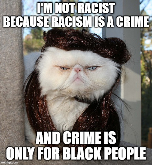 posh cat | I'M NOT RACIST BECAUSE RACISM IS A CRIME; AND CRIME IS ONLY FOR BLACK PEOPLE | image tagged in posh cat,black people,racism,crime,not racist | made w/ Imgflip meme maker