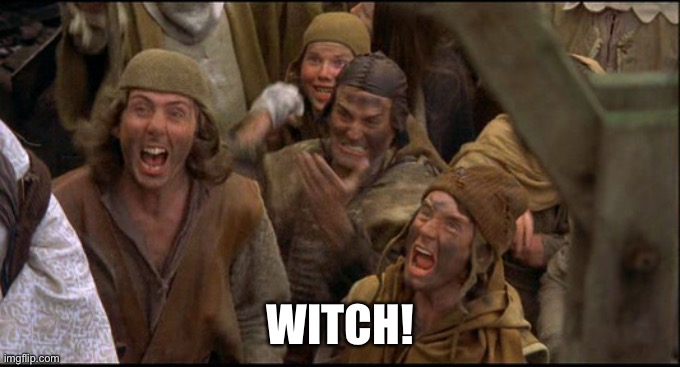 Monty Python witch | WITCH! | image tagged in monty python witch | made w/ Imgflip meme maker