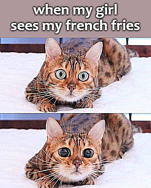 when my girl sees my french fries | image tagged in kitty | made w/ Imgflip meme maker
