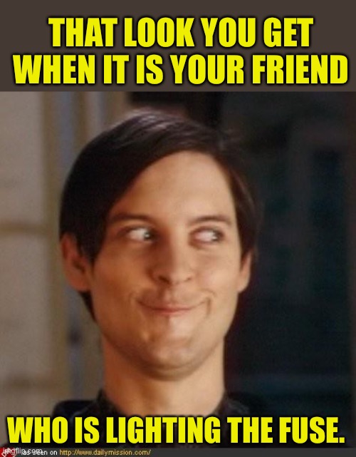 Happy Independence Day! | THAT LOOK YOU GET WHEN IT IS YOUR FRIEND; WHO IS LIGHTING THE FUSE. | image tagged in that look you give your friend | made w/ Imgflip meme maker
