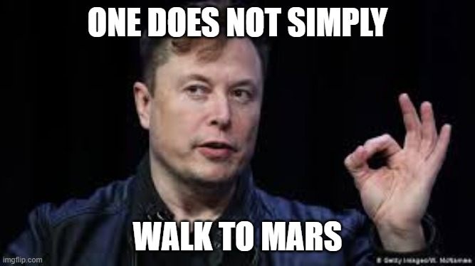 Elon does not simply | ONE DOES NOT SIMPLY; WALK TO MARS | image tagged in elon does not simply | made w/ Imgflip meme maker