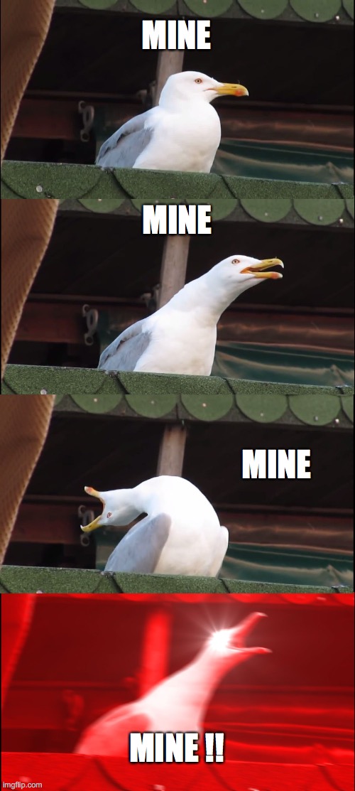Inhaling Seagull | MINE; MINE; MINE; MINE !! | image tagged in memes,inhaling seagull | made w/ Imgflip meme maker