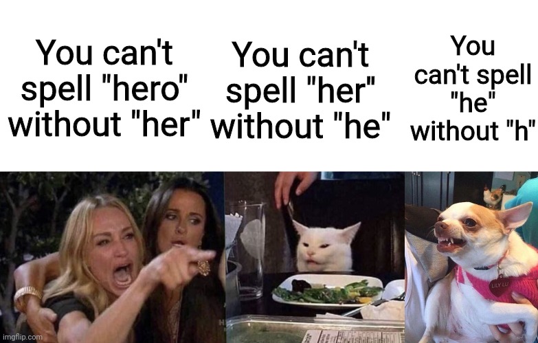 You can't spell "hero" without "her"; You can't spell "her'' without "he"; You can't spell "he" without "h" | image tagged in angry dog meme,woman yelling at cat | made w/ Imgflip meme maker