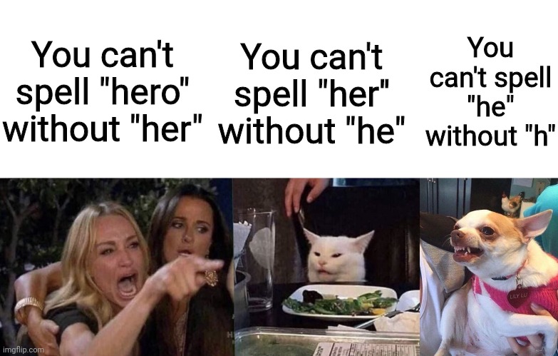 You can't spell "hero" without "her"; You can't spell "her'' without "he"; You can't spell "he" without "h" | image tagged in angry dog meme,woman yelling at cat | made w/ Imgflip meme maker