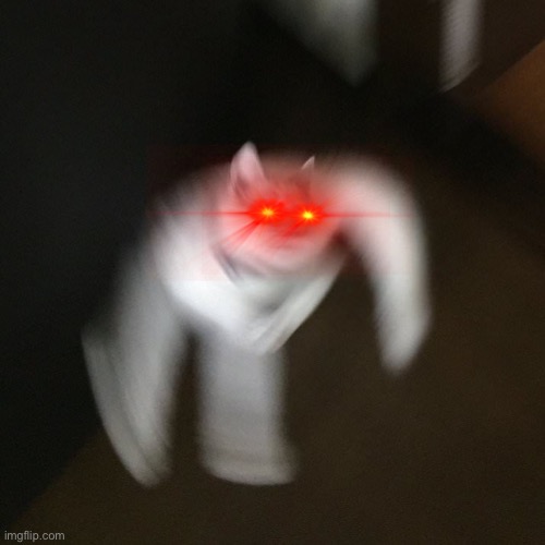 High Quality Angry Cursed Cat boi Blank Meme Template