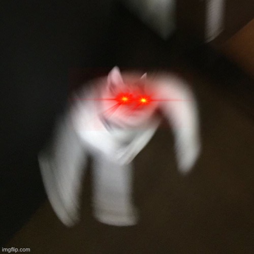 Angry cat boi | image tagged in angry cursed cat boi,memes,funny,cursed image,cats,angry | made w/ Imgflip meme maker