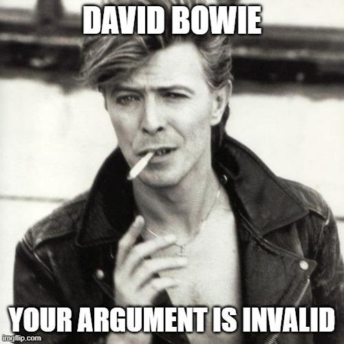 David Bowie | DAVID BOWIE; YOUR ARGUMENT IS INVALID | image tagged in david bowie,bowie | made w/ Imgflip meme maker