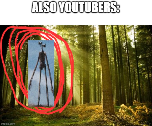 sunlit forest | ALSO YOUTUBERS: | image tagged in sunlit forest | made w/ Imgflip meme maker