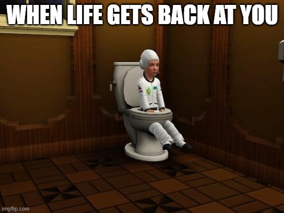 when life gets back at you | WHEN LIFE GETS BACK AT YOU | image tagged in sims,life | made w/ Imgflip meme maker