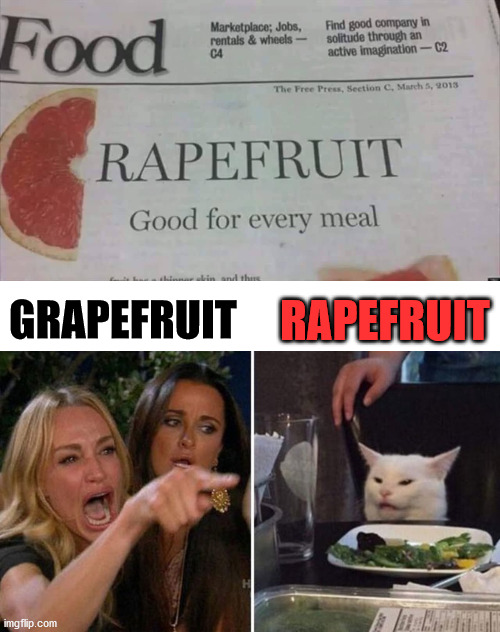 Why would you even have that title in the newspaper? | GRAPEFRUIT; RAPEFRUIT | image tagged in woman argues with cat,fruit,newspaper | made w/ Imgflip meme maker