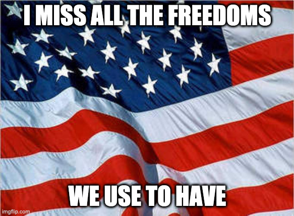 USA Flag | I MISS ALL THE FREEDOMS; WE USE TO HAVE | image tagged in usa flag | made w/ Imgflip meme maker