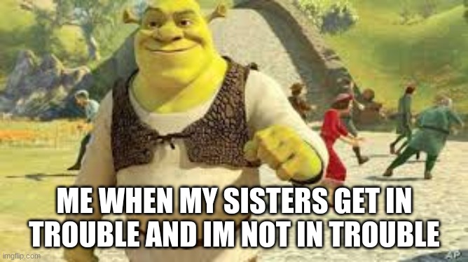 so true XD | ME WHEN MY SISTERS GET IN TROUBLE AND IM NOT IN TROUBLE | image tagged in shrek boss | made w/ Imgflip meme maker