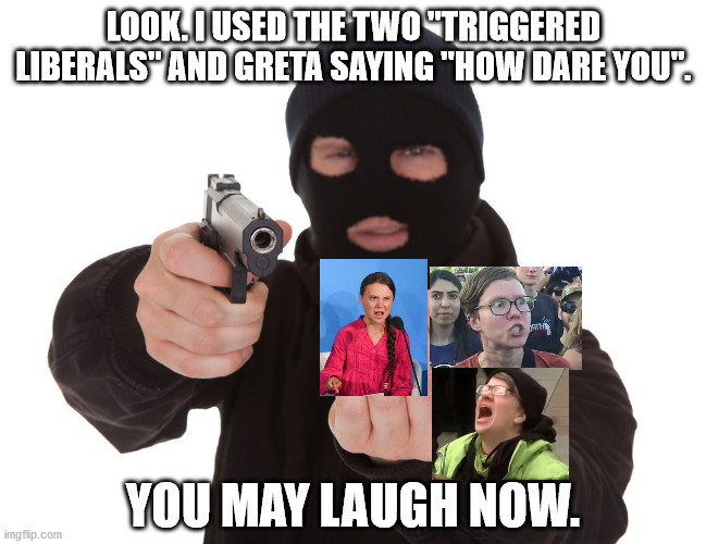 Unlike those libtards who can't meme, I have a superior taste in humor, cantcha tell? | LOOK. I USED THE TWO "TRIGGERED LIBERALS" AND GRETA SAYING "HOW DARE YOU". YOU MAY LAUGH NOW. | image tagged in stupid liberals,triggered liberal,greta thunberg how dare you,laugh,now | made w/ Imgflip meme maker