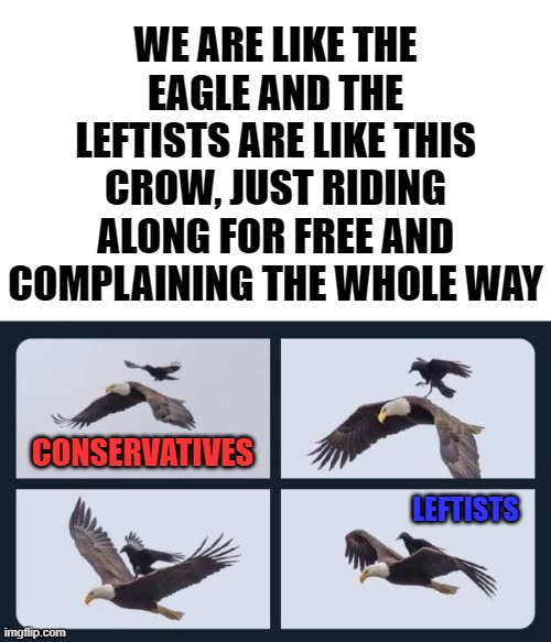 Trying to make him crash too. | WE ARE LIKE THE EAGLE AND THE LEFTISTS ARE LIKE THIS CROW, JUST RIDING ALONG FOR FREE AND COMPLAINING THE WHOLE WAY; CONSERVATIVES; LEFTISTS | image tagged in liberal vs conservative,leftists,political meme | made w/ Imgflip meme maker