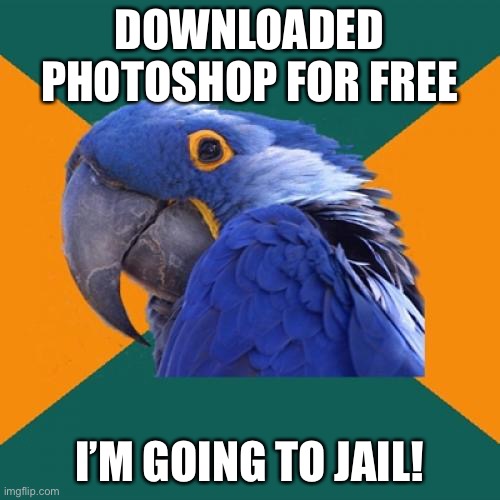 Criminal Scum! | DOWNLOADED PHOTOSHOP FOR FREE; I’M GOING TO JAIL! | image tagged in memes,paranoid parrot,jail,piracy,photoshop | made w/ Imgflip meme maker