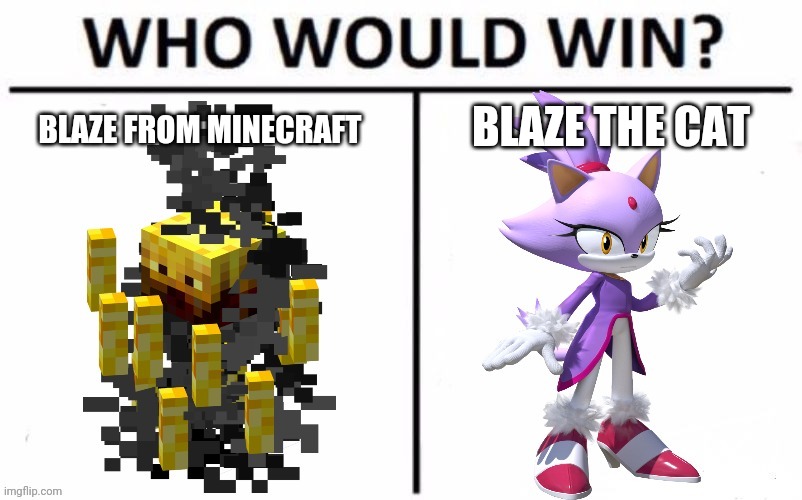 Put a comment down bolw for who will win plz | BLAZE THE CAT; BLAZE FROM MINECRAFT | image tagged in sonic,memes,minecraft,who would win | made w/ Imgflip meme maker